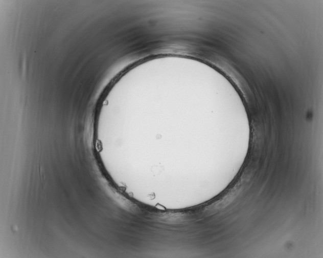 X0000100981131200807221227