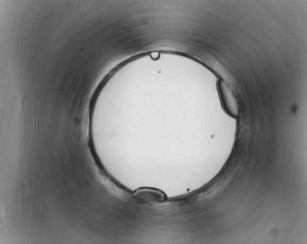 X0000100981132200807221227