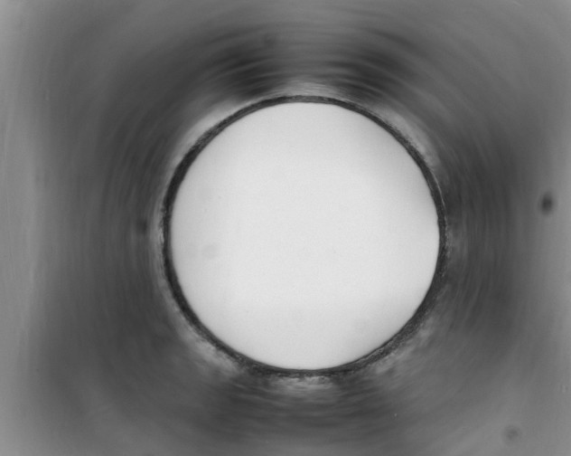 X0000100981133200807221227