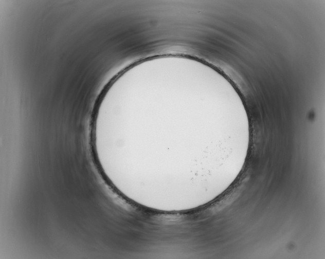 X0000100981134200807221227