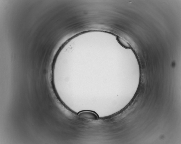 X0000100981136200807221227