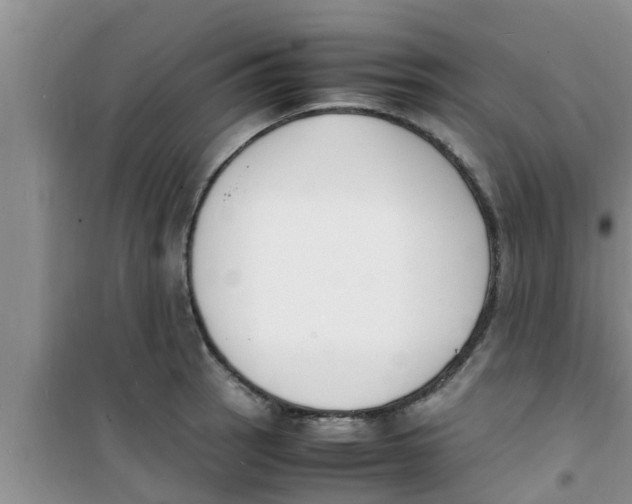 X0000100981137200807221227