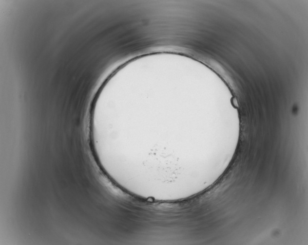 X0000100981140200807221227