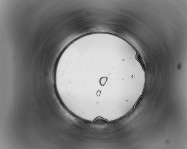 X0000100981141200807221227