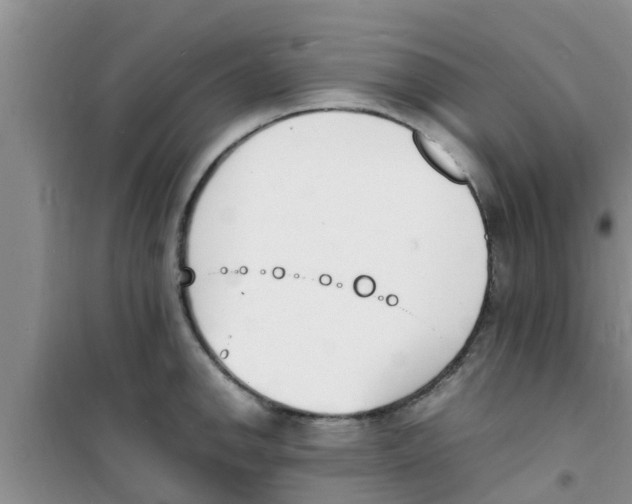 X0000100981142200807221227