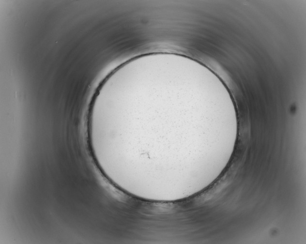 X0000100981144200807221227