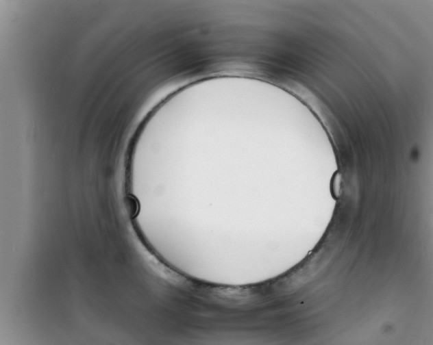 X0000100981147200807221227