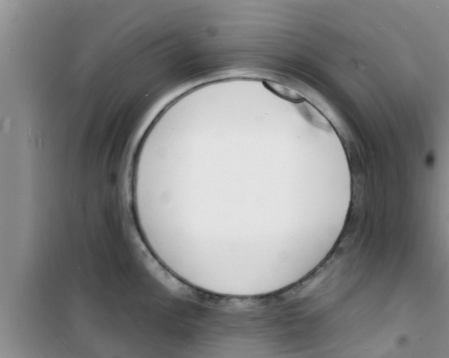 X0000100981148200807221227