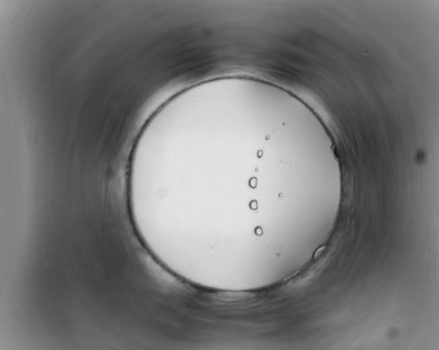 X0000100981151200807221227