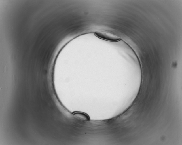 X0000100981152200807221227