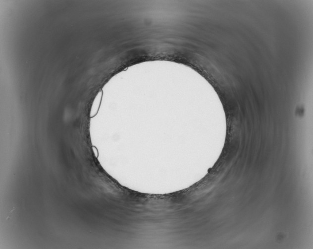 X0000100981153200807221227