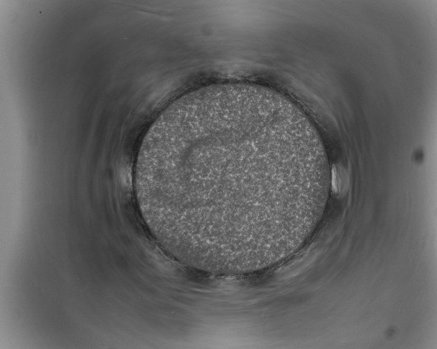 X0000100981155200807221227