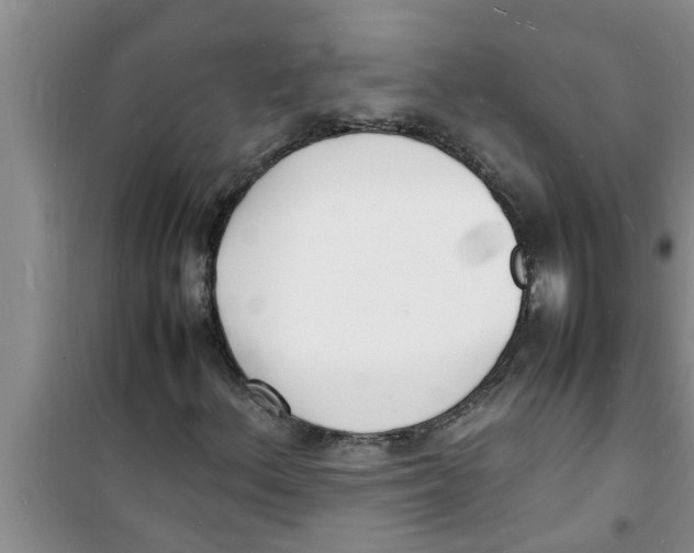 X0000100981156200807221227