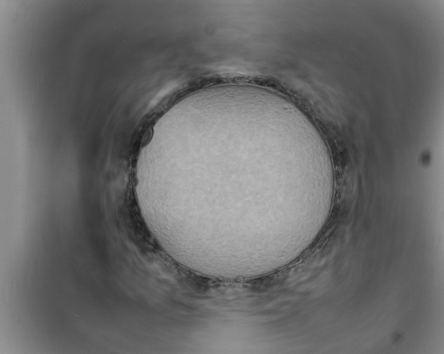 X0000100981157200807221227