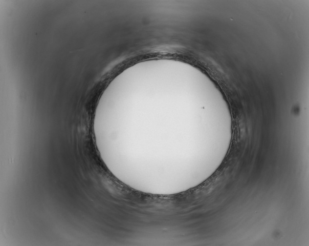 X0000100981158200807221227