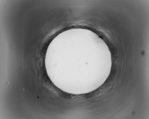 X0000100981159200807221227