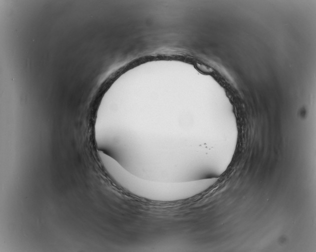 X0000100981160200807221227