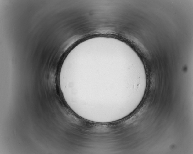 X0000100981162200807221226