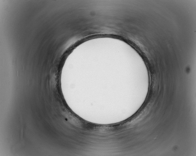 X0000100981163200807221226