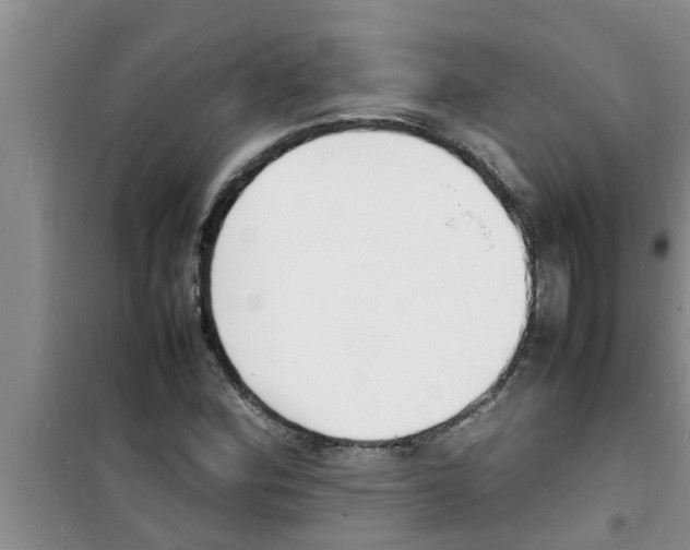 X0000100981164200807221226