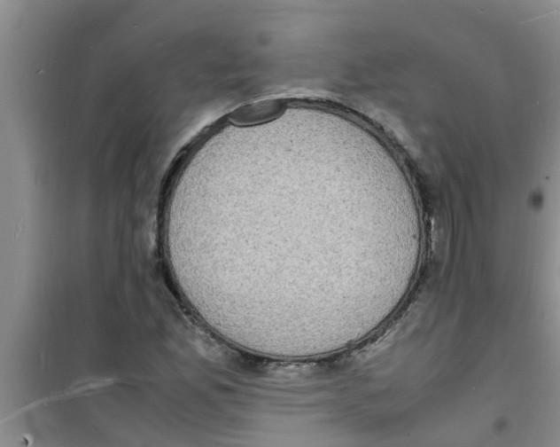 X0000100981165200807221226