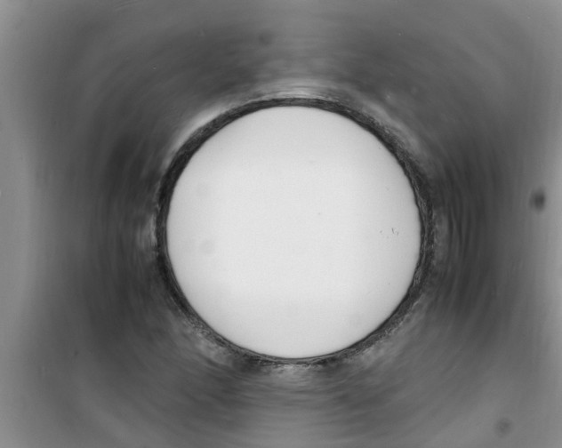 X0000100981166200807221226