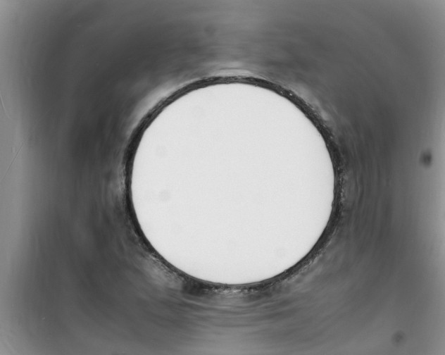 X0000100981167200807221226