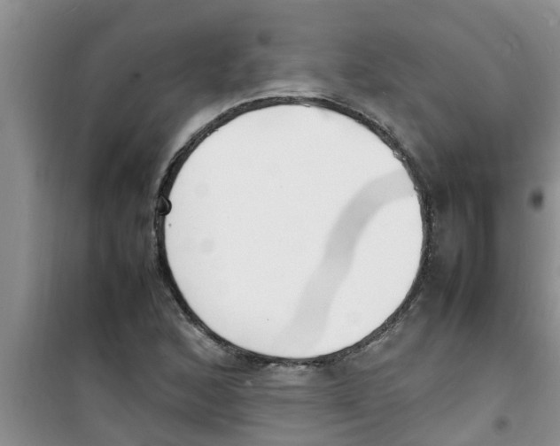 X0000100981168200807221226