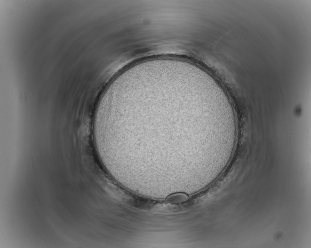 X0000100981169200807221226