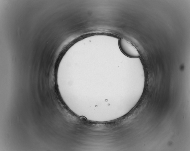 X0000100981172200807221226