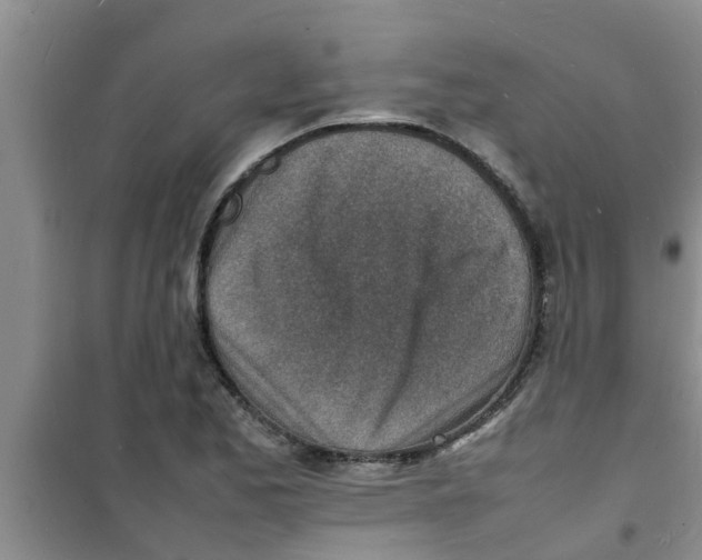 X0000100981173200807221226