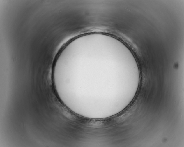 X0000100981174200807221226