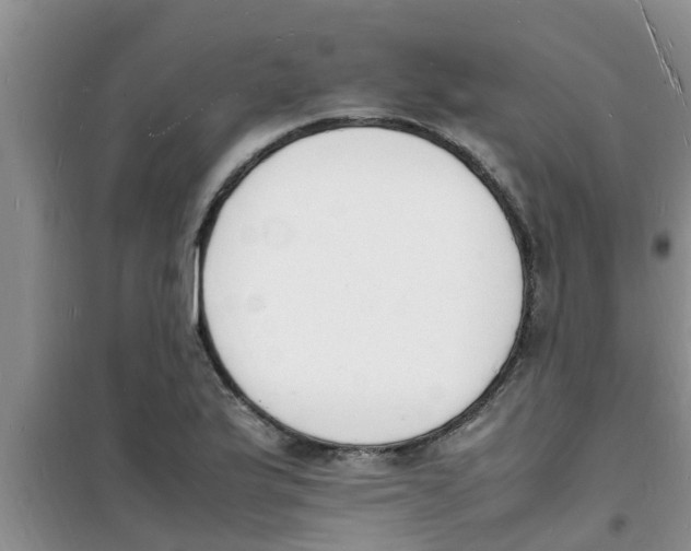 X0000100981175200807221226