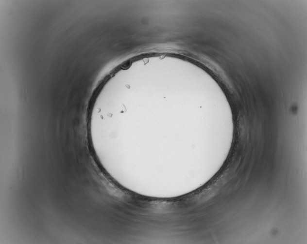 X0000100981176200807221226