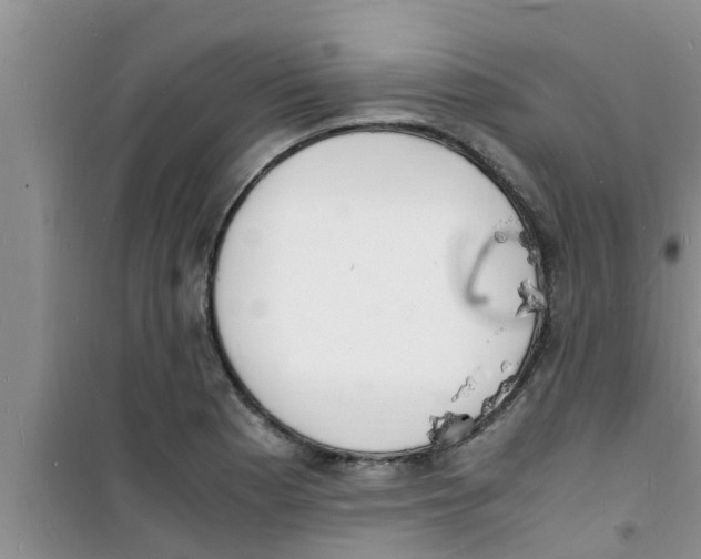 X0000100981177200807221226