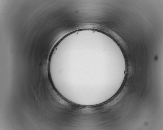 X0000100981178200807221226