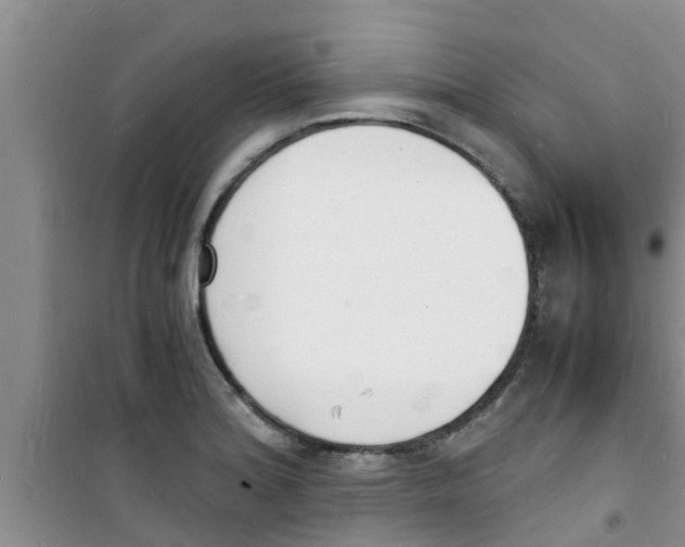 X0000100981180200807221226