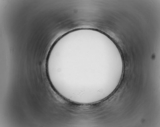 X0000100981181200807221226