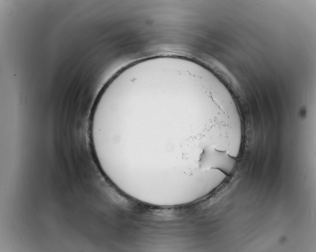 X0000100981182200807221226