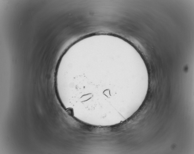 X0000100981183200807221226