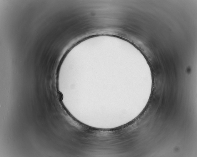 X0000100981184200807221226