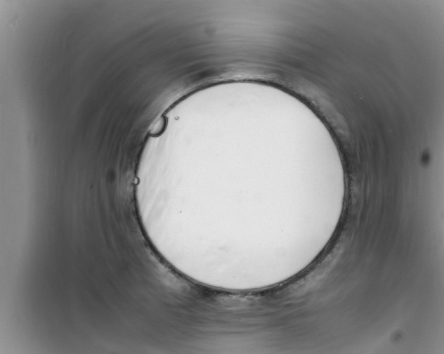 X0000100981185200807221226