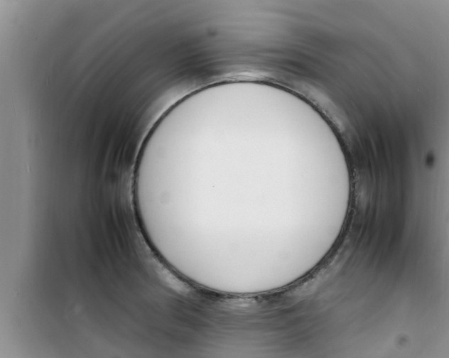 X0000100981186200807221226