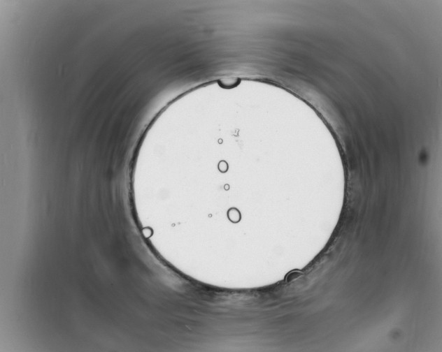 X0000100981187200807221226