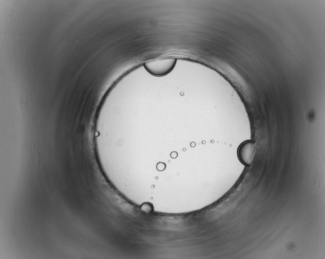 X0000100981190200807221226