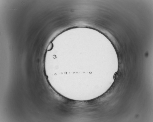 X0000100981191200807221226