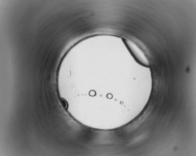 X0000100981192200807221226