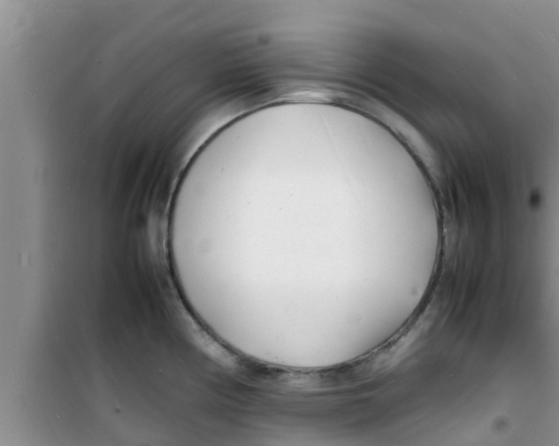 X0000100981194200807221226