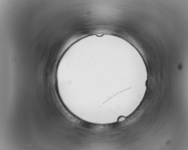 X0000100981195200807221226