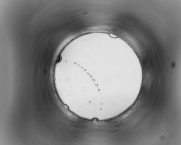 X0000100981196200807221226